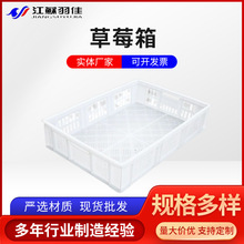 ��Ѽ��ò�ݮ��С�����D�� PEȫ���ϲ�ݮ����ˮ�����Ͽ��S��