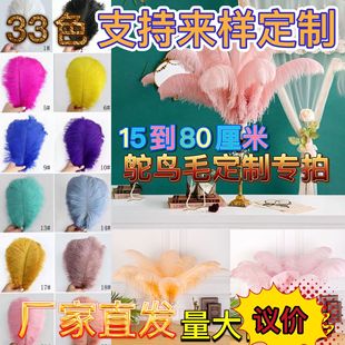 15-80�r�Bë��̨�ݳ���ɫ��ë��c�b���qԭ����z�q��c����