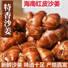 ����ï�������خa���rɳ��ɽ�κ��ϼtƤɰ�������uҬ���u�i�_����