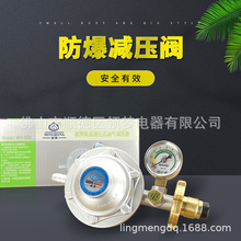 煤气减压阀正品铭鸿厨房家用电器配件液化天然气炉灶调压力表铜嘴