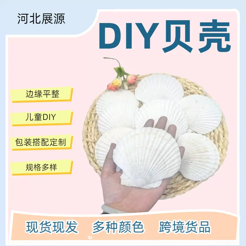 大贝壳批发大夏夷贝壳片幼儿园手工diy绘画涂鸦打孔贝壳彩绘套装
