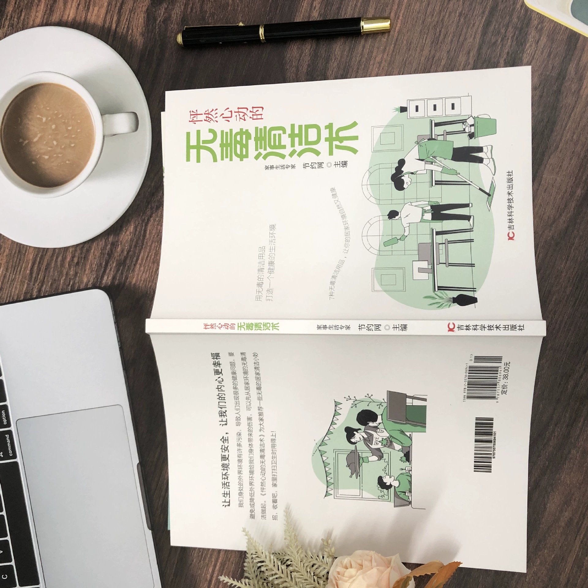 Книга по безопасным чистящим техникам. Используйте не токсичные бытовые средства для создания здоровой среды жизни.