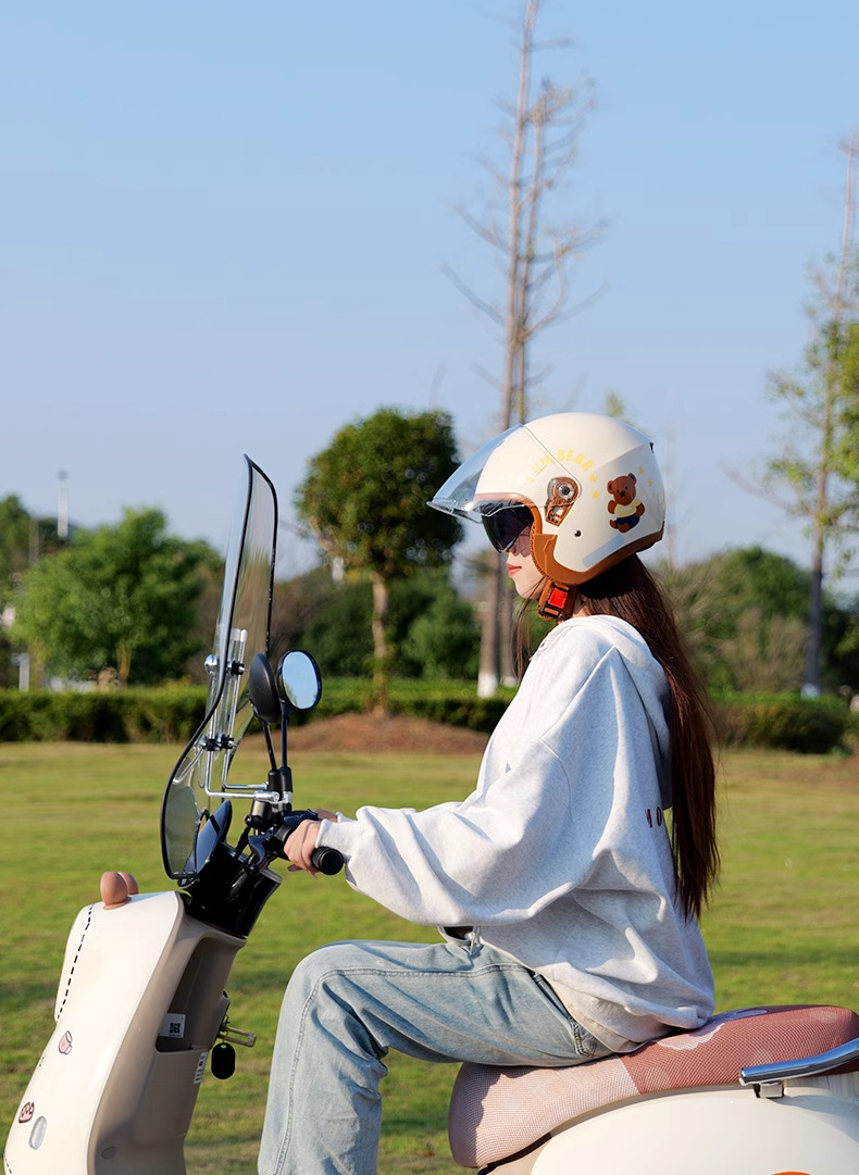 Electric Vehicle Front Windshield Universal Scooter Thickened Rainproof and Coldproof New Transparent Special Hard Board Windshield