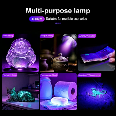 Urine Stain Ultraviolet Lamp, UV fənərlər