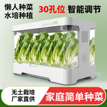 水培蔬菜种植机研学基地教学用具无土栽培桌面太空菜园自吸水花盆