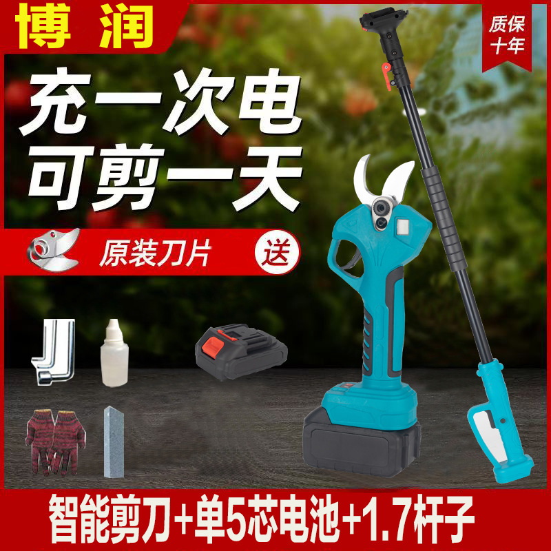 プロの国境を越えた電動剪定鋏、リチウム電池剪定鋏、庭の果樹の果実の枝はさみ、園芸の枝剪定電動工具|undefined