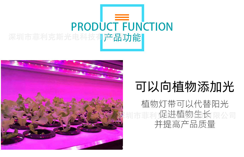 5050(3红1蓝)植物灯详细页_12.jpg