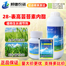 云大120万保 28表高芸苔素内酯蔬菜小麦玉米水稻甘蔗用生长调节剂