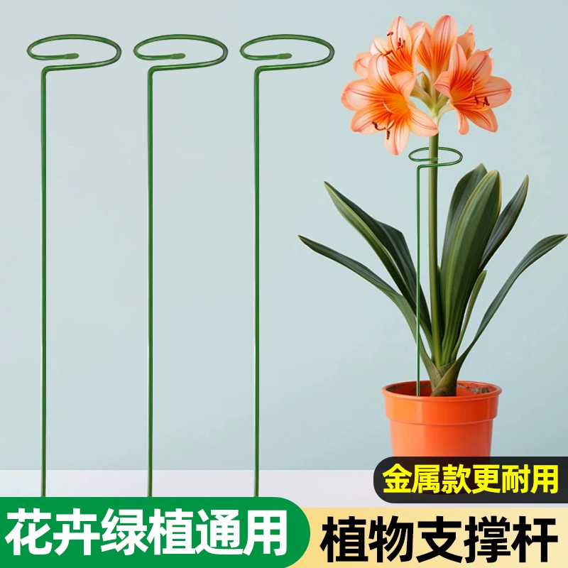 Фаленопсис опорный стержень растения в горшках цветочные кронштейны