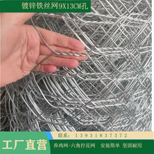 ��ƽ���ϸ��x�ږ�Ȧ��W�B���F�z�W䓽z�WȦ��Q�����ǾW�Bֳ�W