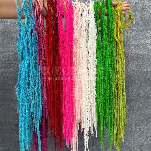 ������������Y���˜I�����ܛ�b��O��c�����bٻ����滨�ɻ�