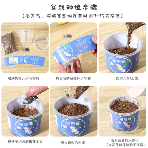 Qiaoqiao cup mini potted plants for children to grow fruits and vegetables small potted plants for students to observe green plants seed box mini planting