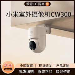 适用米家室外摄像机CW300360度无死角门口户外家用夜视智能摄像头