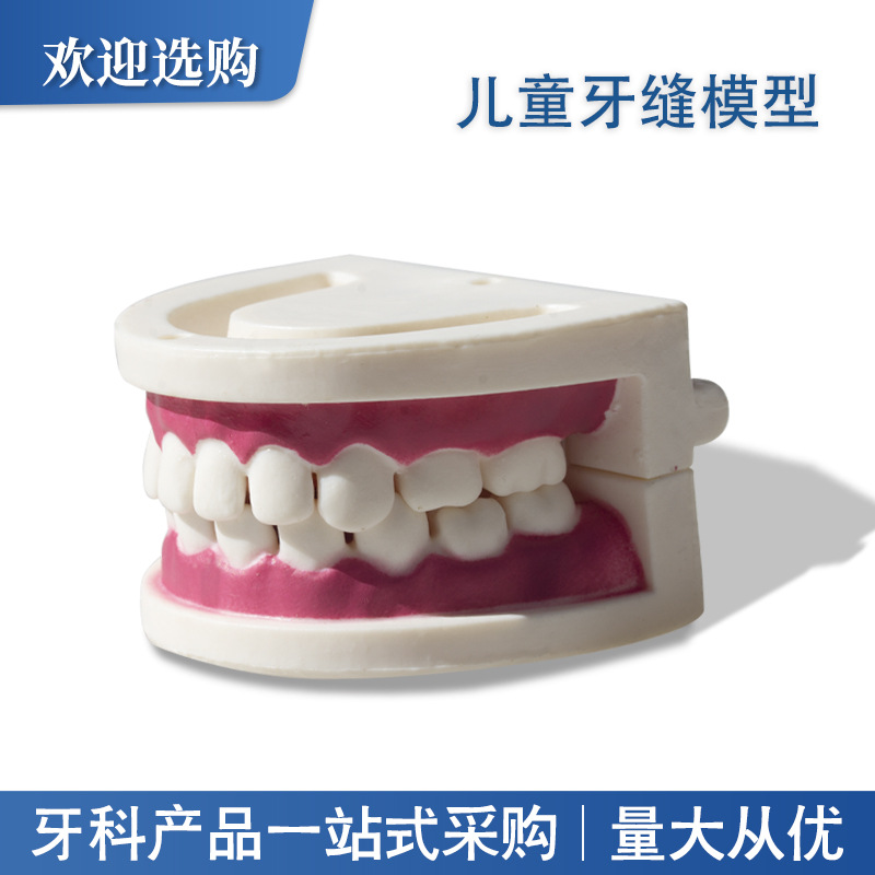 Material de la herramienta de práctica dental de belleza Ejercicio dental Modelo dental de resina Modelo de práctica de dentadura postiza Modelo dental entre dientes