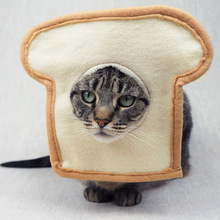 跨境搞怪宠物帽子猫咪狗狗拍照头饰吐司面包造型头套宠物兔头饰