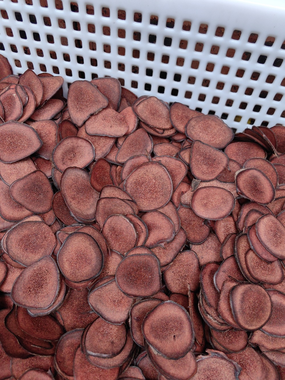 Deer Antler Blood Slices Lu Rong Xue Pian 50g Dried Slices for Soup and Wine Infusion in use