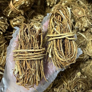 ��ָë�����l�Ҝ��� ��ָţ�̏V�|�a�ع��� ���Ѹ�؛��ָë�Ҹ�