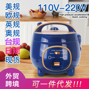 110V-240V�羳�Q��������������a�S�Ҵ�С��������ҿɴ��l