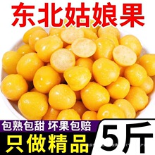 �|����������r����ˮ��5���S����������\���t�����ЋD����3���]