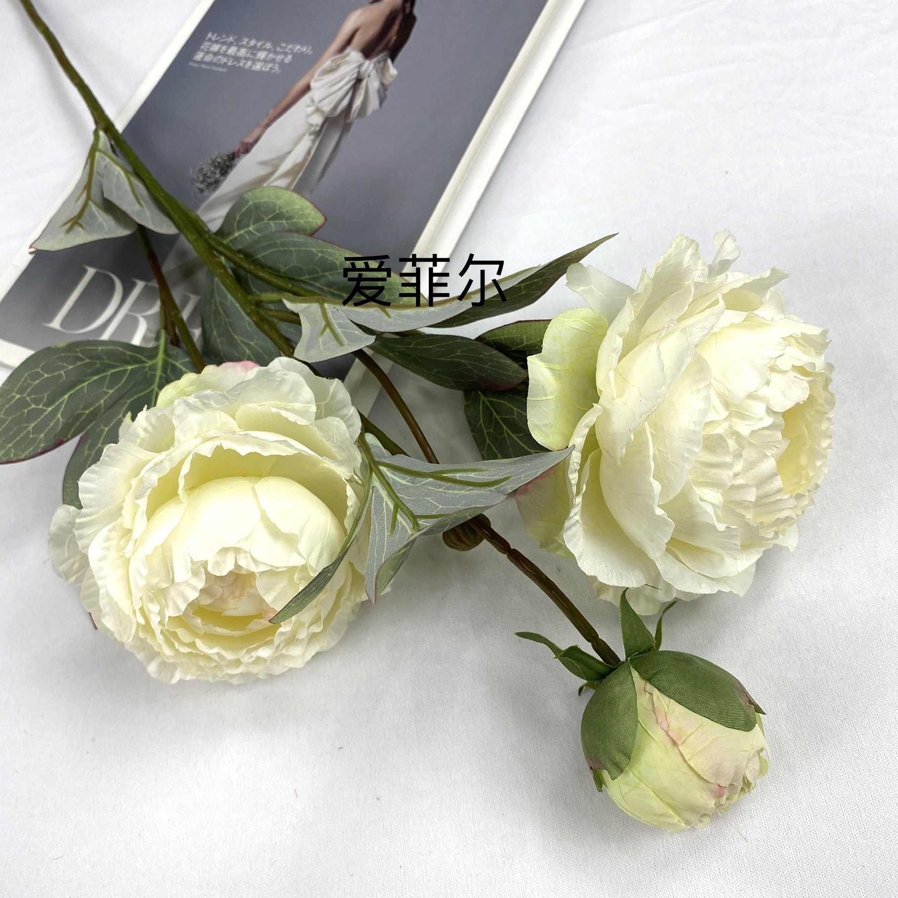 226bcd3f1a80ca975b8f94ffab8742