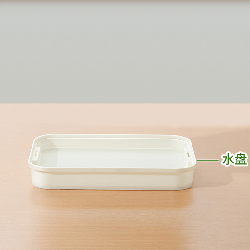 加大款育苗盘种植发芽盆黄绿豆芽无土栽培水培芽苗菜盘发豆芽神器|undefined