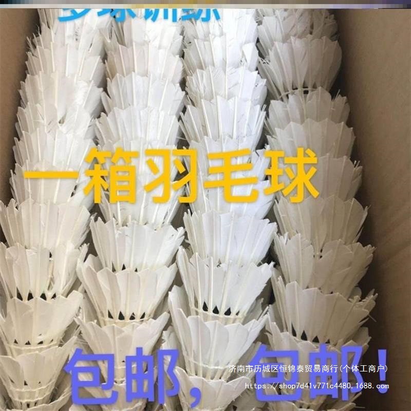 Second-Hand Badminton, 90% New, Teaching and Training, Multi-Ball Training, Comprehensive Practice Ball before the Game, Professional Amateurs.