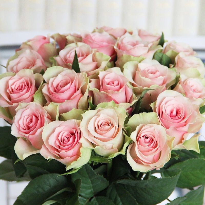 04fe5897-4875-40bc-a770-8c027454670f.jpe