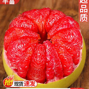 �����t�������������rˮ�������t���������֕r�����gϪ�t���ؼ�