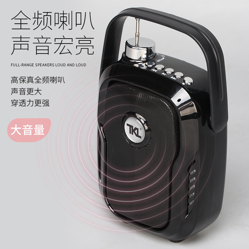 Little Bee アンプ 教師 ガイド 便利な教育 Bluetooth ヘッドセット マイク U ディスク ワイヤレス ラベリア マイク|undefined