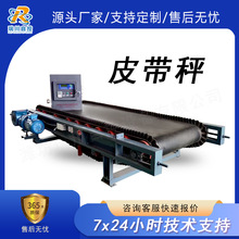 皮带秤矿业定量给料机高精度电子皮带称变频调速电子秤称重给料