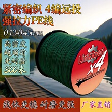LinExpert300��4�������������RPE�~��������������ĥ���z��