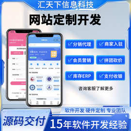 网站建设制作网页设计搭建企业展示公司官网软件外包AI客服开发