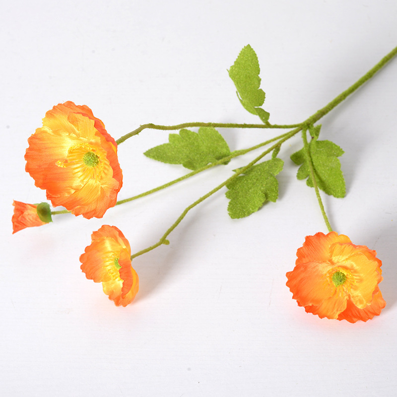 Amapolas Naranja Amarillo