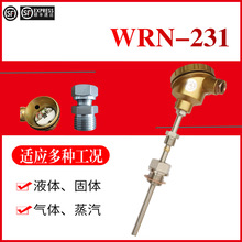 WRN-231 装配式热电偶 PT100/E/K分度号 双支装配热电偶WRN2-230