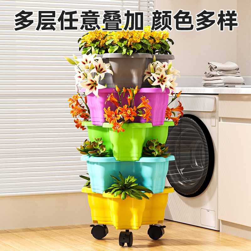 详情图
