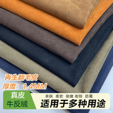 ţqF؛GRS/RCSƤƤ﷭ëƤ_TCţƤqţwq