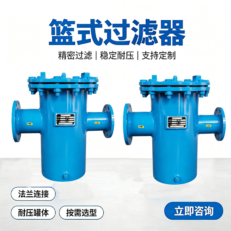 碳钢快开篮式过滤器不锈钢提篮式过滤器泳池污水毛发收集过滤器产品实拍图