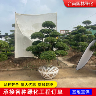 ���͹����S��� ���؈@�ֹ��̾G�����^���͘侫Ʒ�����S�����͘�