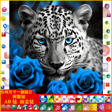 ���|AB�ɉm��֬��ʯ�����ﱪ���¿�M荿͏d�N�ʮ�ֽ����g�b�