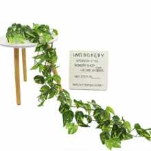 �羳����Gֲ�G�}�ڒ�ٻ��ٗl�����Gֲ���ڿ͏d�҃ȾGɫֲ���b�