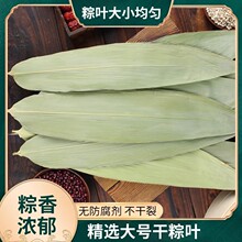 端午节粽子叶干粽叶大号包粽子的叶子商用批发棕干麻竹叶大片麻绳
