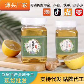 百花洋槐蜜现货液态蜂蜜500g原蜜散装洋槐蜜百花蜂蜜槐花蜜批发