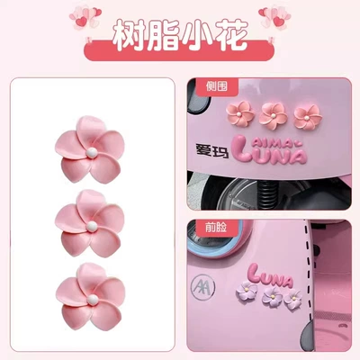 Vehicle Modification, Car-Mounted Mini | Electric car cushion - 3-pink-frangipani-flowers