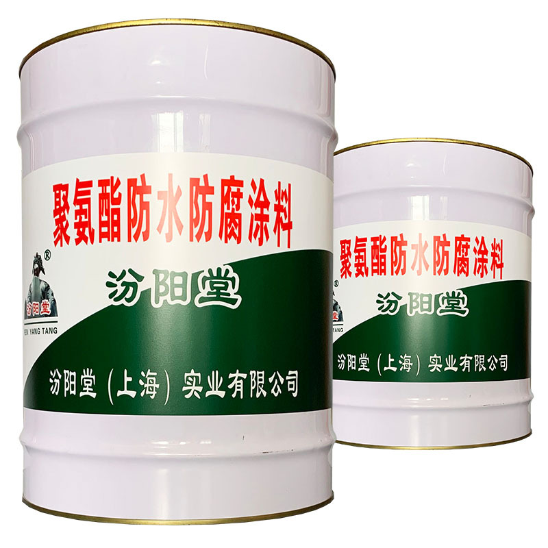 聚氨酯防水防腐涂料、方便、聚氨酯防水防腐涂料、工期短