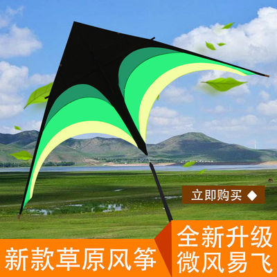 Weifang kite Breeze Nasty easily fly adult children 2.8 Prairie Umbrella cloth triangle large