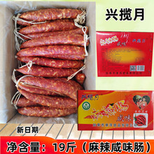 d ζc ζc VʽDc ըF19