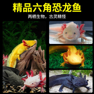 ���ǿ����~�^�p�~����ϔ��������~��ˮ�~���ӜؾW�t�~���B�׻�