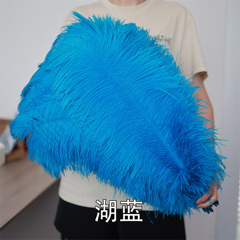 55 - 60cm plumas de avestruz de Sudáfrica al por mayor accesorios de ropa DIY accesorios materiales accesorios de diseño de boda lana de avestruz