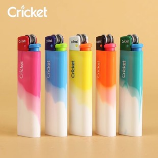 cricket����ɰ݆���Cԭ�b�M�ڄ������һ���Դ��C�V��ӡ����