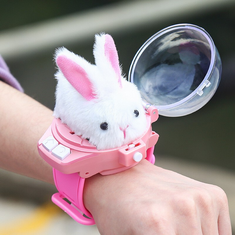 Global Strict Selection of Cross-border Mini Children's Watch Remote Control Car 2.4G Alloy Car Remote Control Car Rabbit Toy